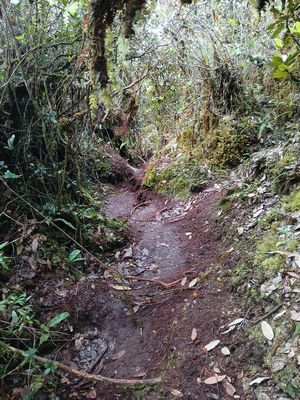 20260101_091313.jpg