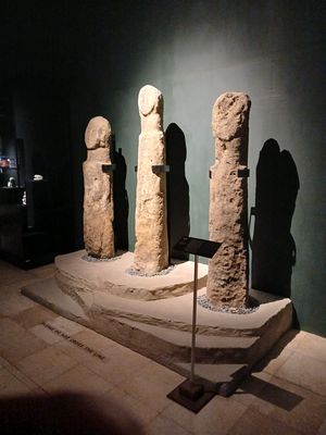 20260124_114519.jpg