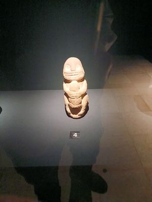 20260124_114622.jpg