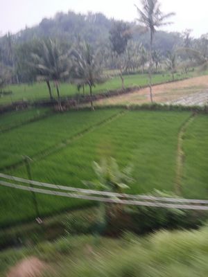 20260126_135748.jpg