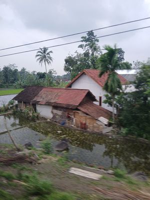 20260126_140728.jpg