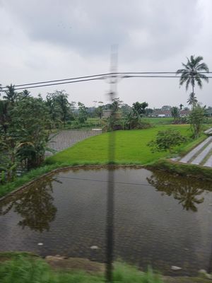 20260126_140730.jpg