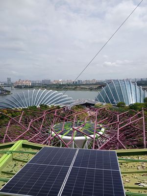 20260206_113040.jpg